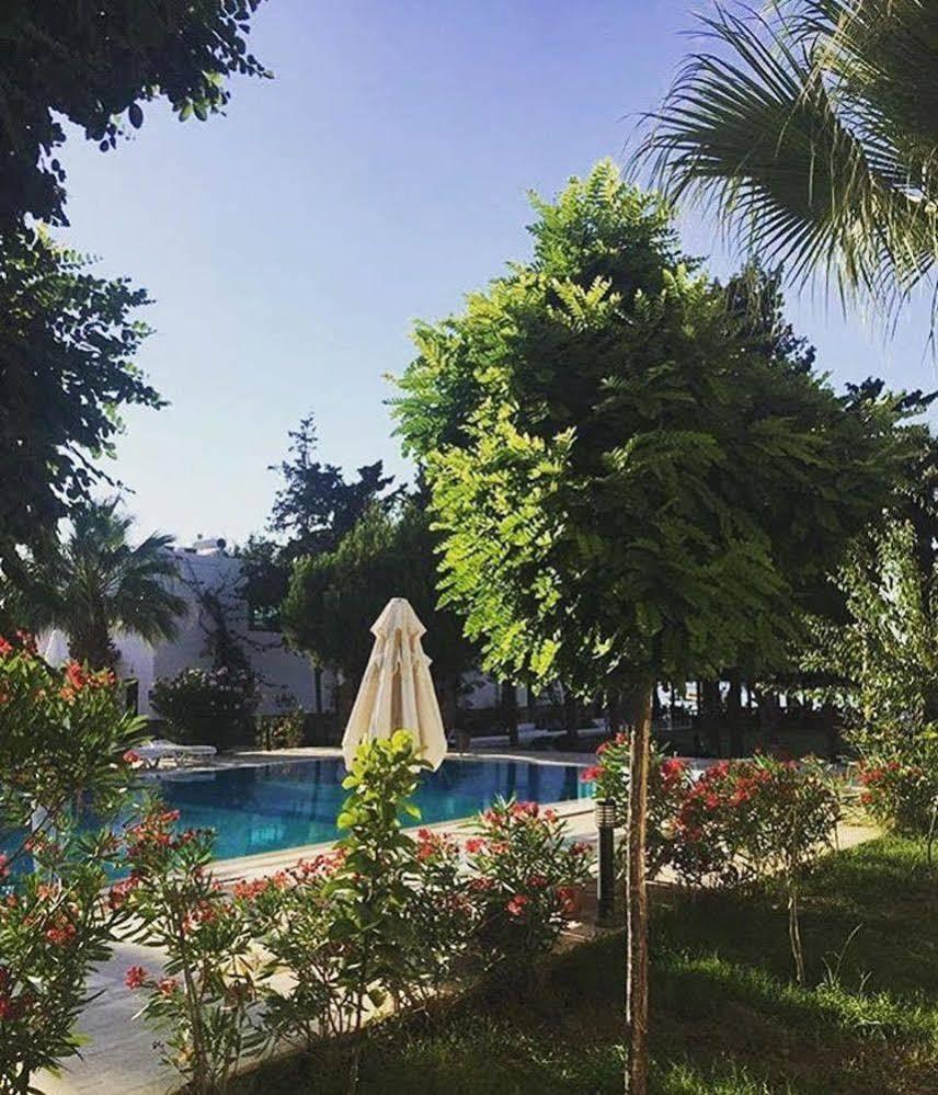 Selvi Beach Hotel Golturkbuku Bagian luar foto