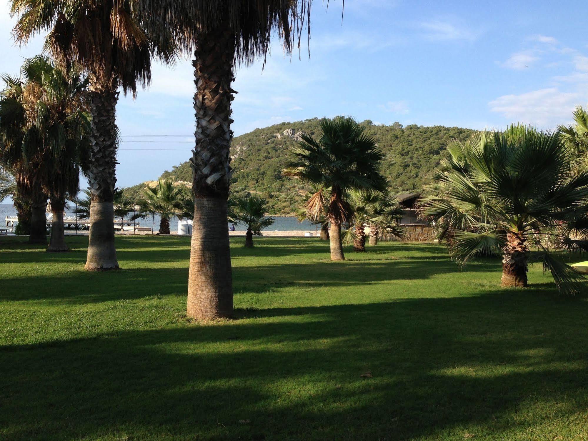 Selvi Beach Hotel Golturkbuku Bagian luar foto